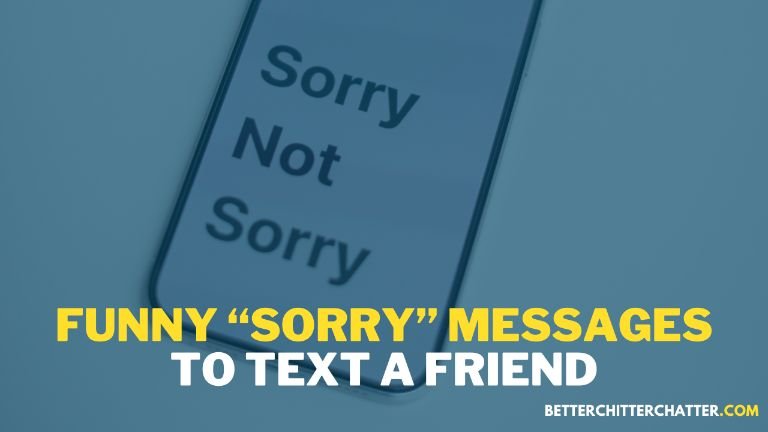 Funny Sorry Messages To Text A Friend